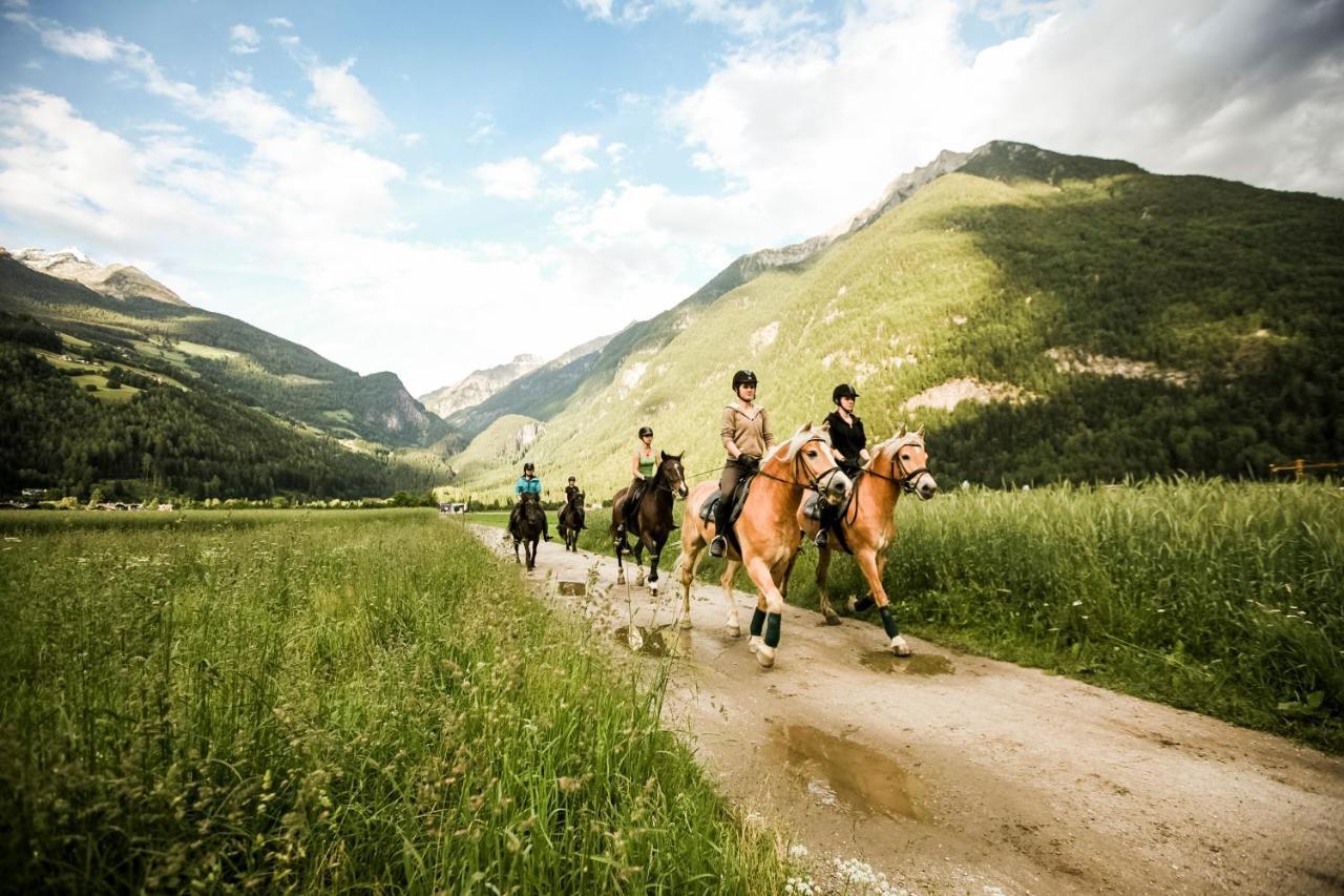 Fronza - Your Hike & Mountain Lutago